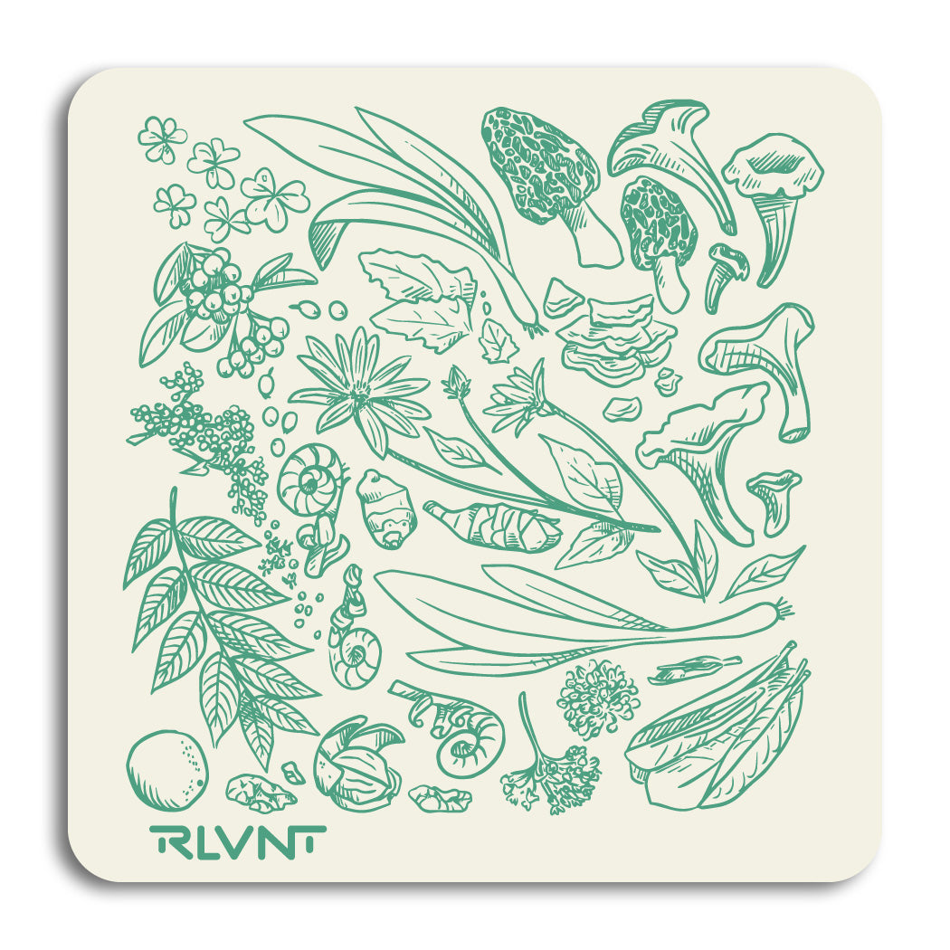 Forager 3" Rounded Corner Sticker