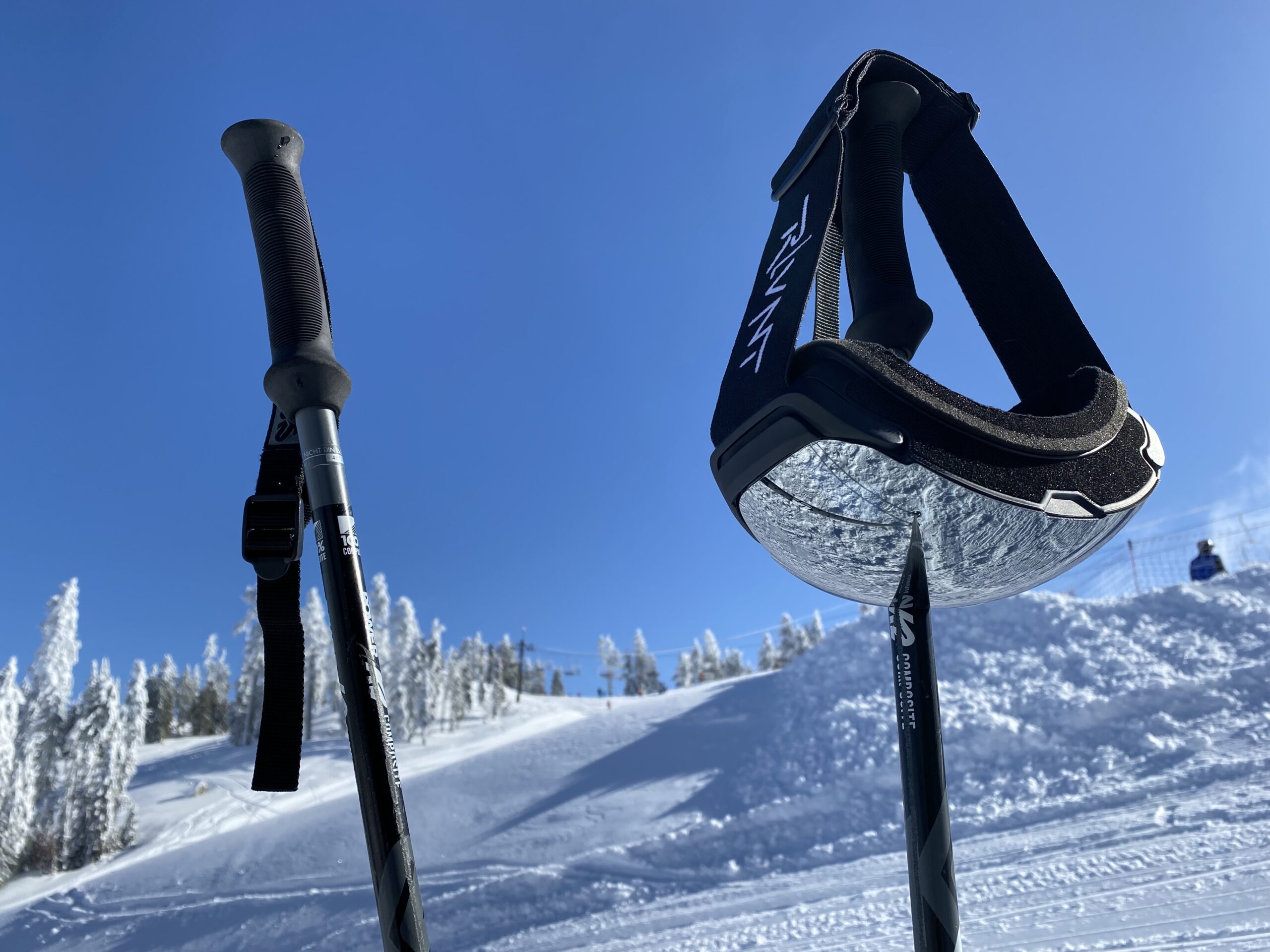 Photo-Jan-19-2023-11-16-58-AM